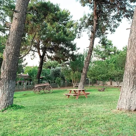 Villa Private In The Forest With Pool And Jacuzzi Urla