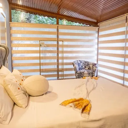 Private In The Forest With Pool And Jacuzzi *