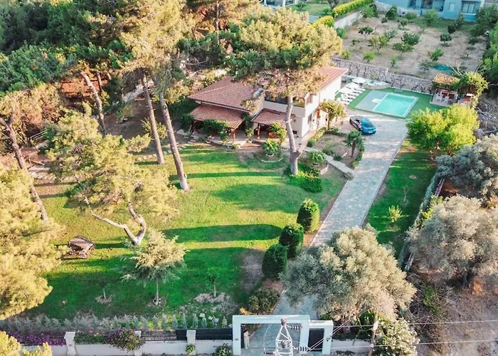 Private In The Forest With Pool And Jacuzzi Villa